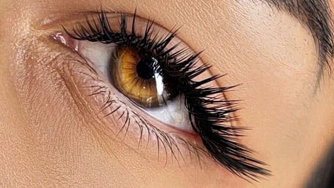 Premium lash extensions in cat eye style at Younica beauty clinic Montreal area